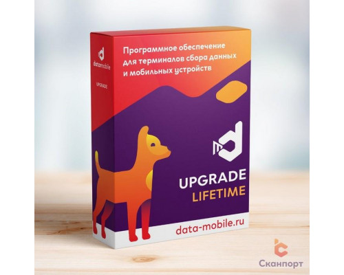 ПО DataMobile, Upgrade для версий LifeTime (с версии Стандарт до Стандарт Pro, арт. DM->DMPro)