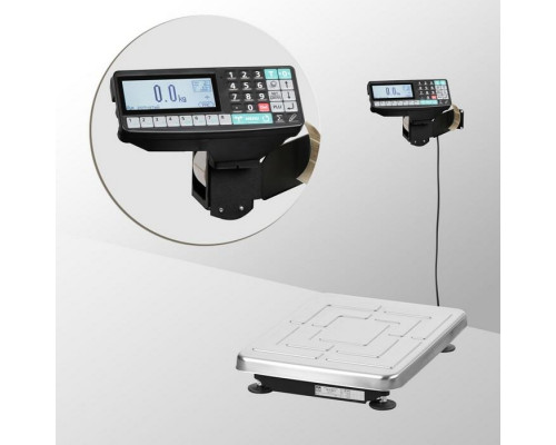 Весы напольные с печатью этикеток Масса-К TB-S-200.2-RP1