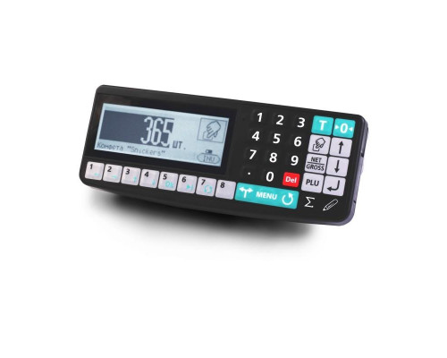Весы платформенные Масса-К 4D-PM-12/12-1000-RA