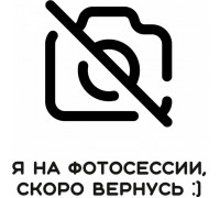 Корпус для печатающего механизма SII CAPD247E-E (Frame)